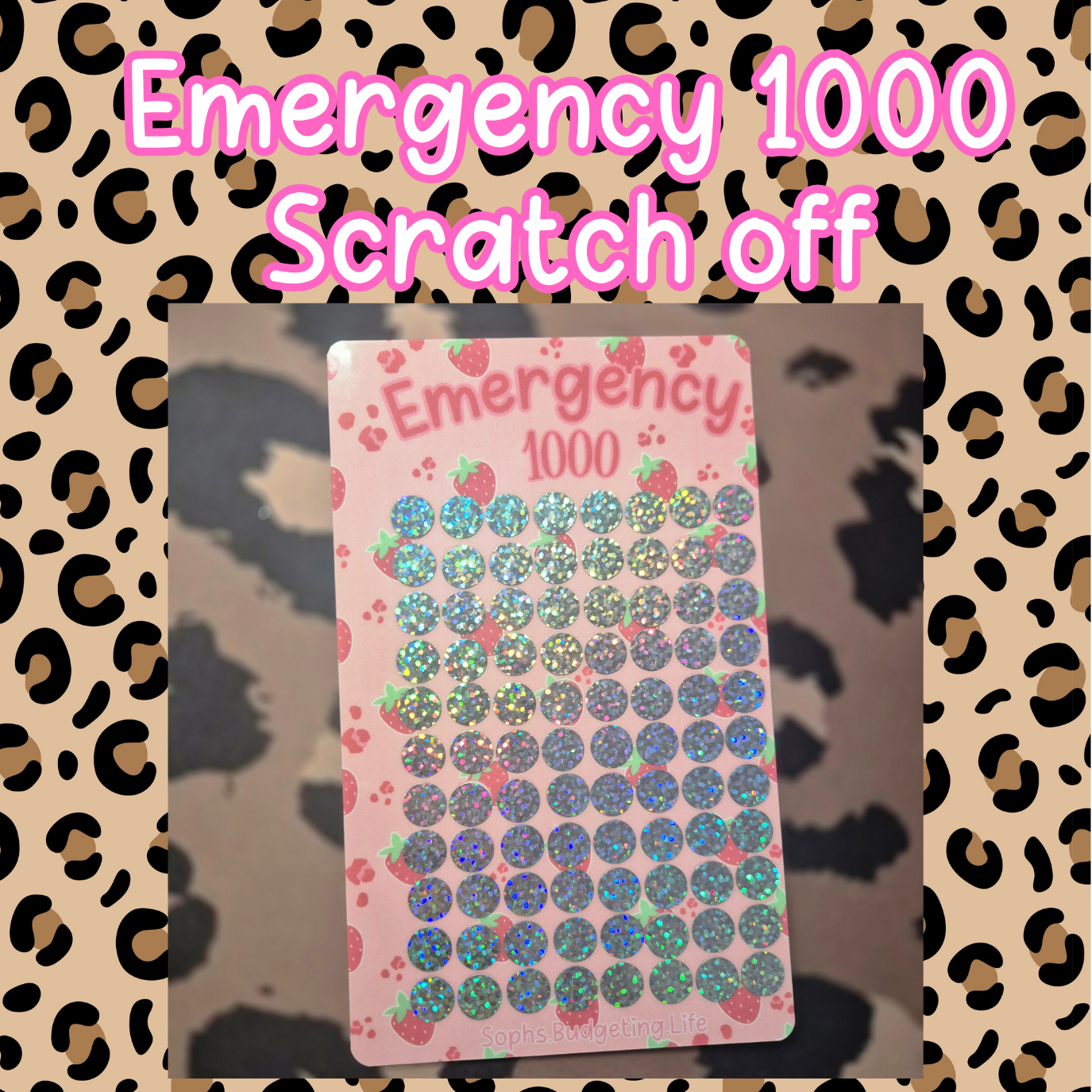 Emergency Fund 1000