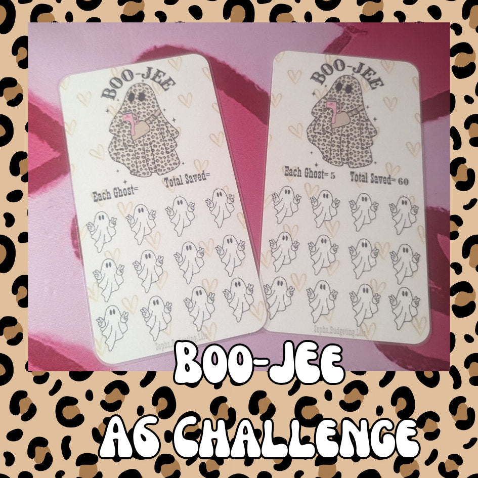 Boo-Jee / A6 savings challenge