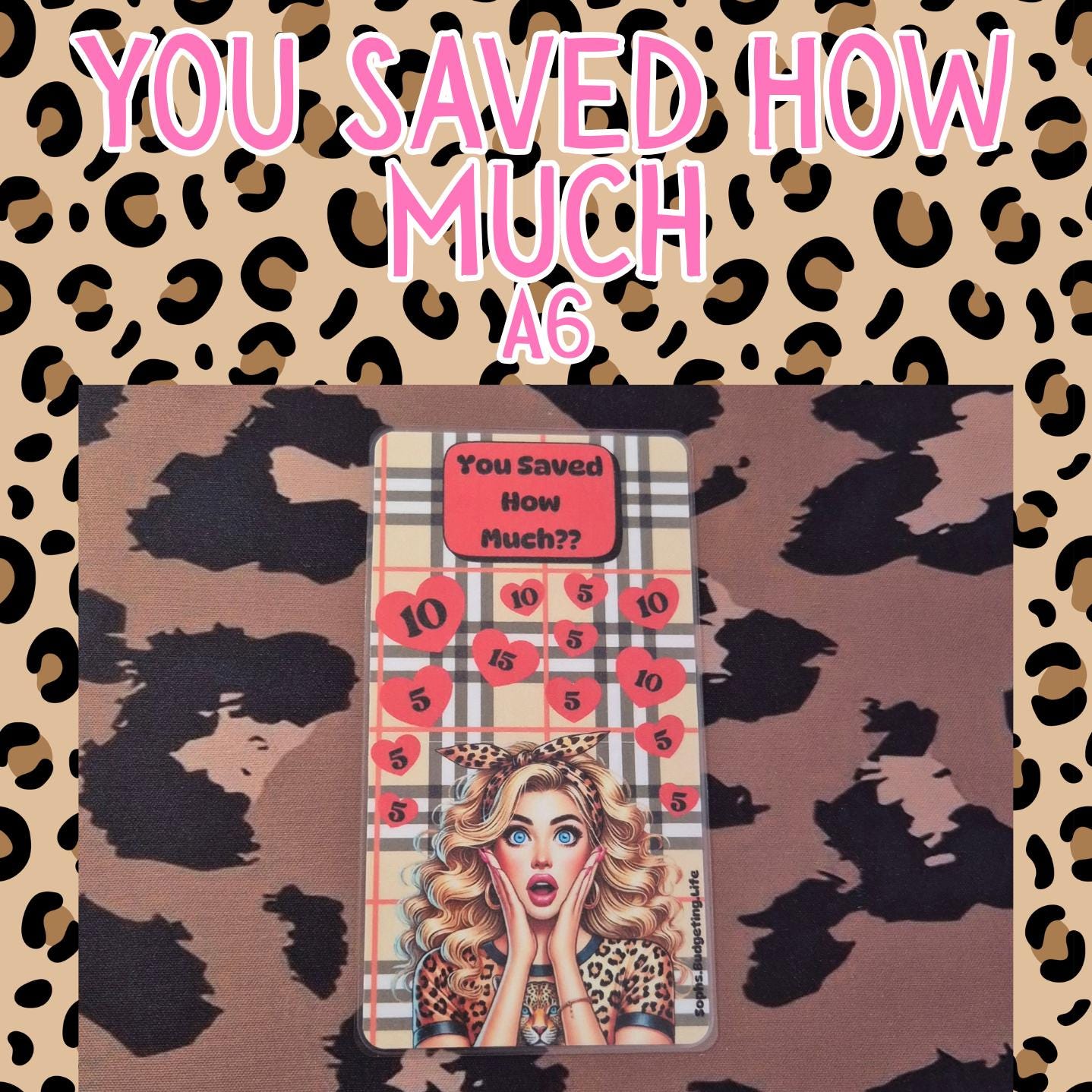 You Saved How Much /A6 Savings Challenge