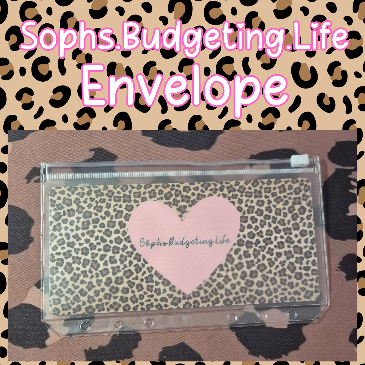 Sophs.Budgeting.Life Envelope