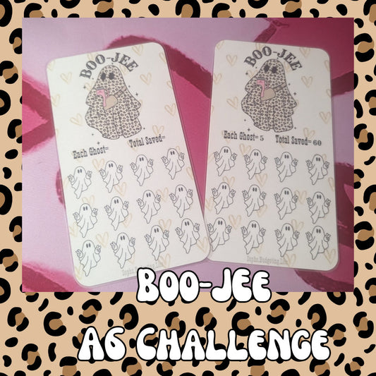 Boo-Jee / A6 savings challenge