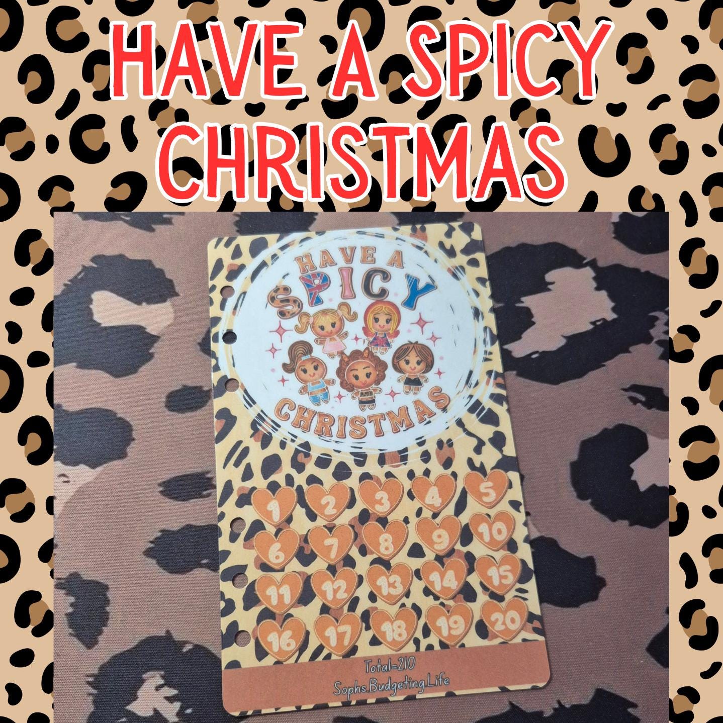Have A Spicy Christmas A6
