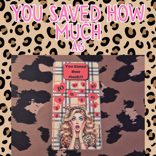 You Saved How Much  /A6 Savings Challenge